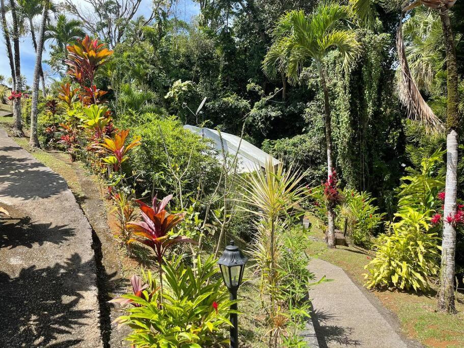 Jardin Secret Villa Petit-Bourg Eksteriør billede